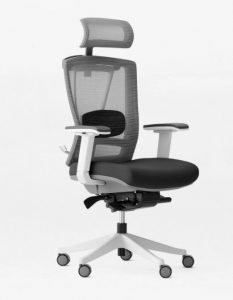 Chaise-Ergonomique-ErgoChair-2