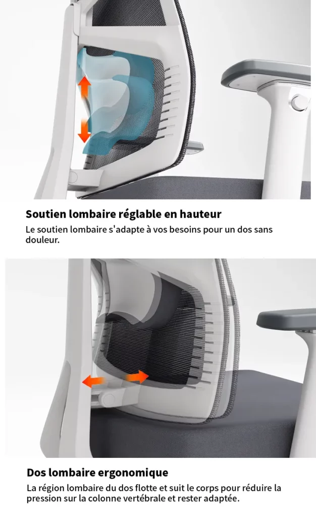 ergonomie_holludle_shaper1